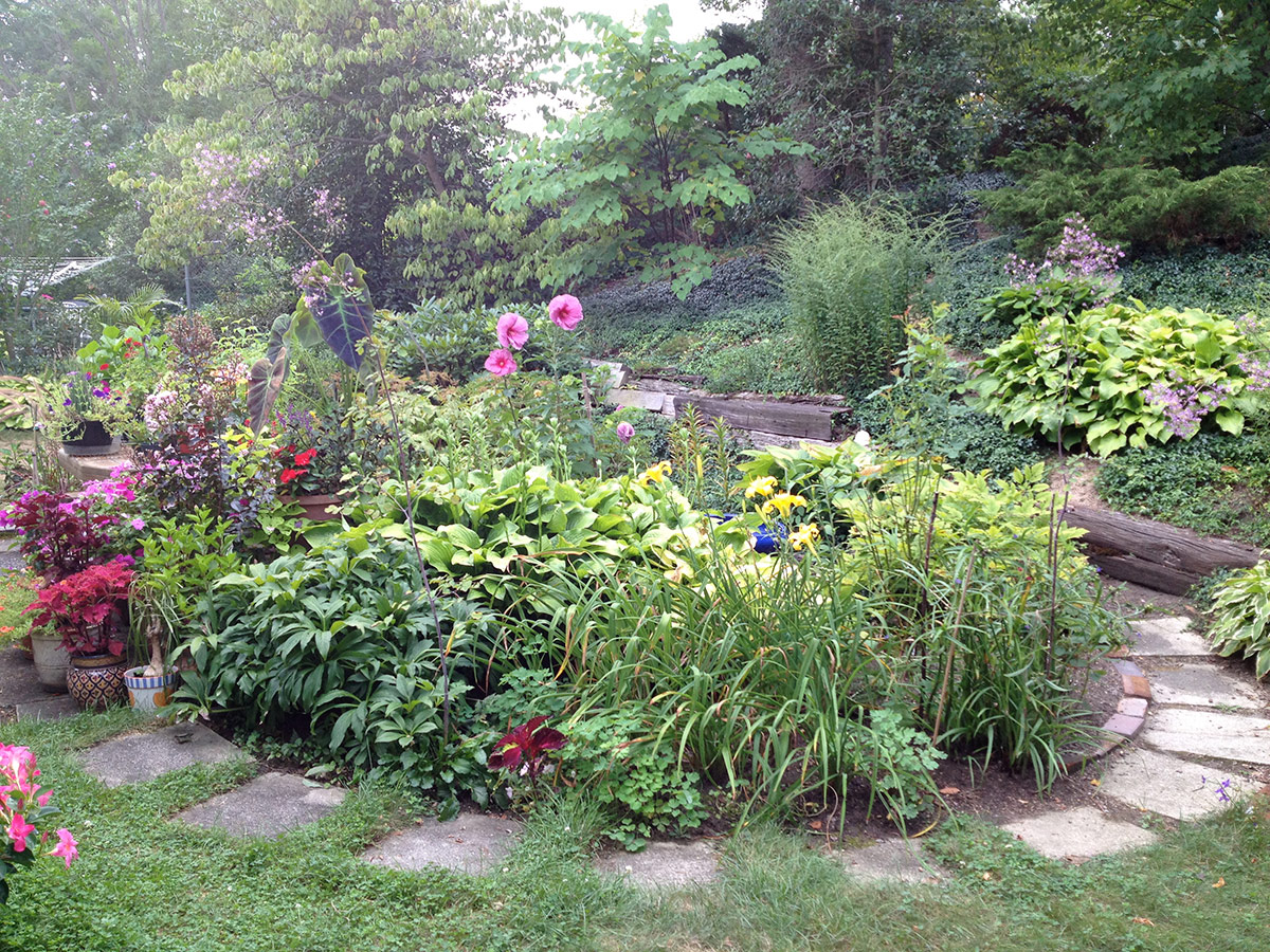 garden path around perennial bed
