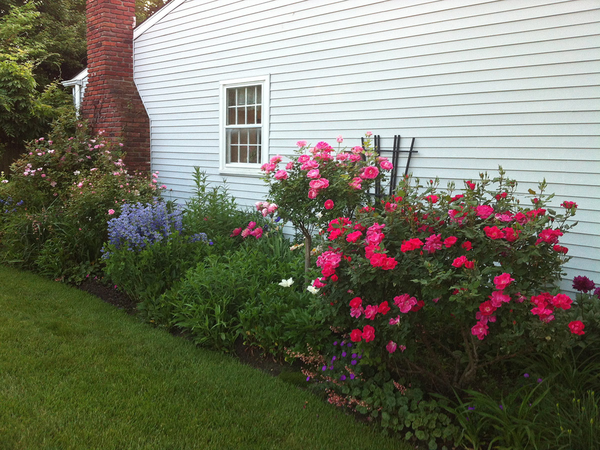 flower foundation garden bed