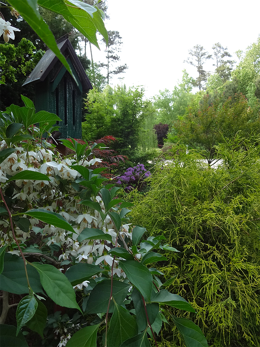 view of garden between plants