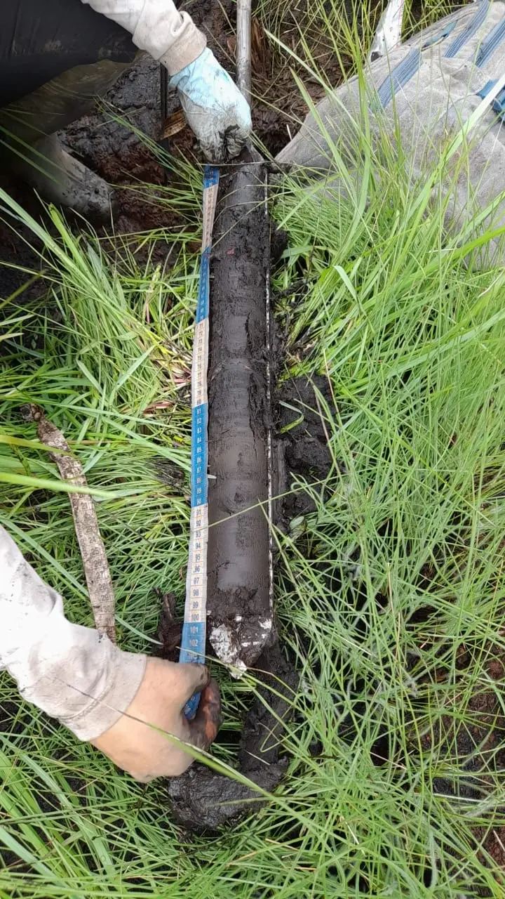 the secret superpower of brazil’s vast savanna