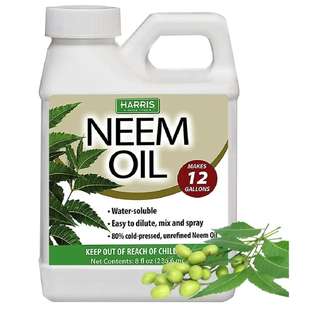neem oil