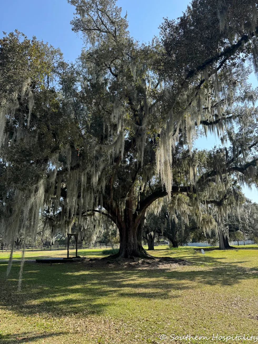 visit destrehan plantation