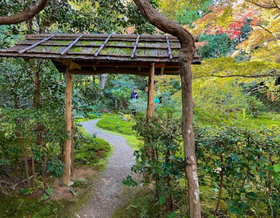 pergola in fall garden