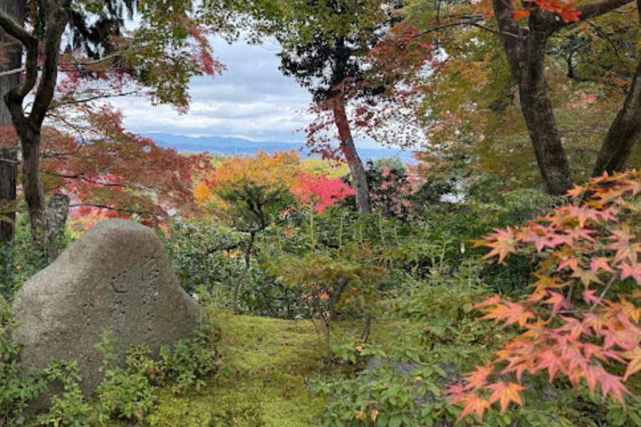 fall in japanese garden