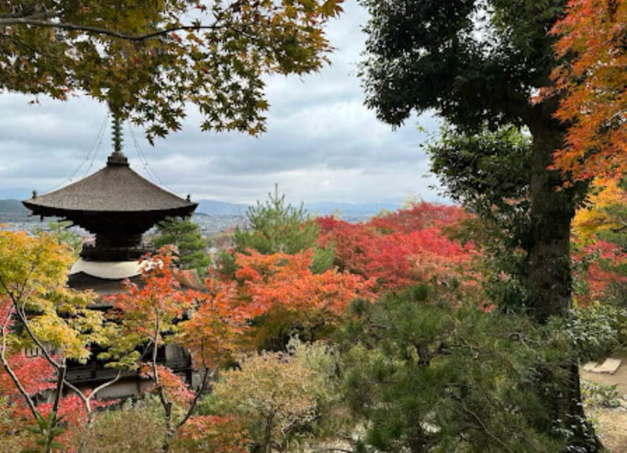 view of temple and trees with fall color