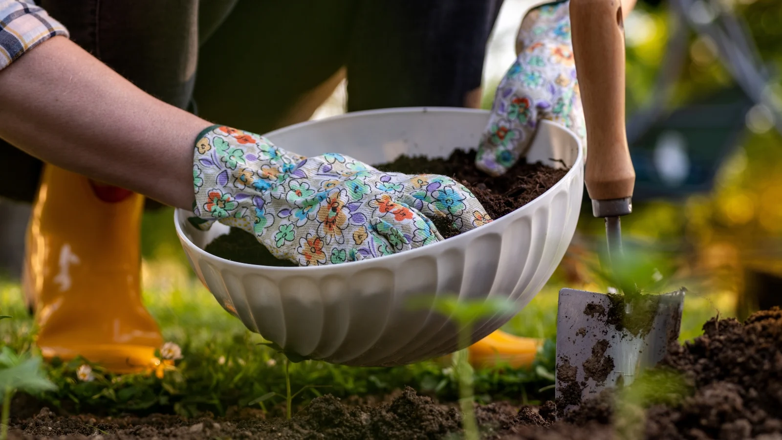 a gloved hand pouring a mix of organic compost from a bowl into a patch of soil, enriching the earth for healthy plant growth in a well-maintained garden.