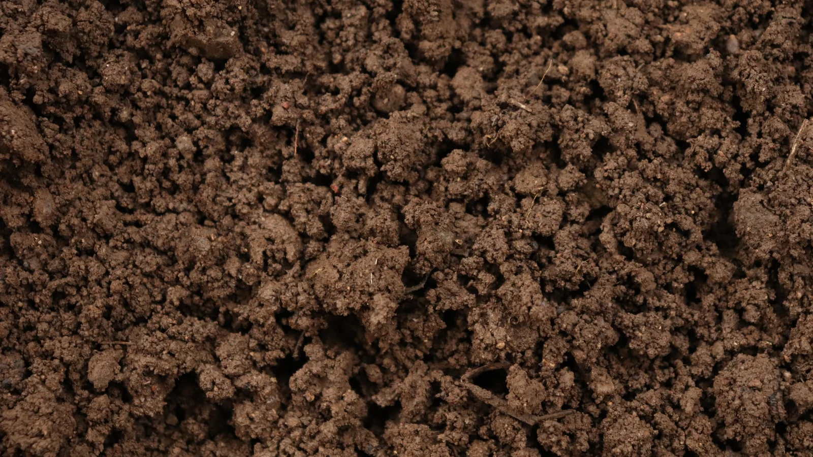 a close-up and overhead shot of dark-brown colored, moist, and fertile soil