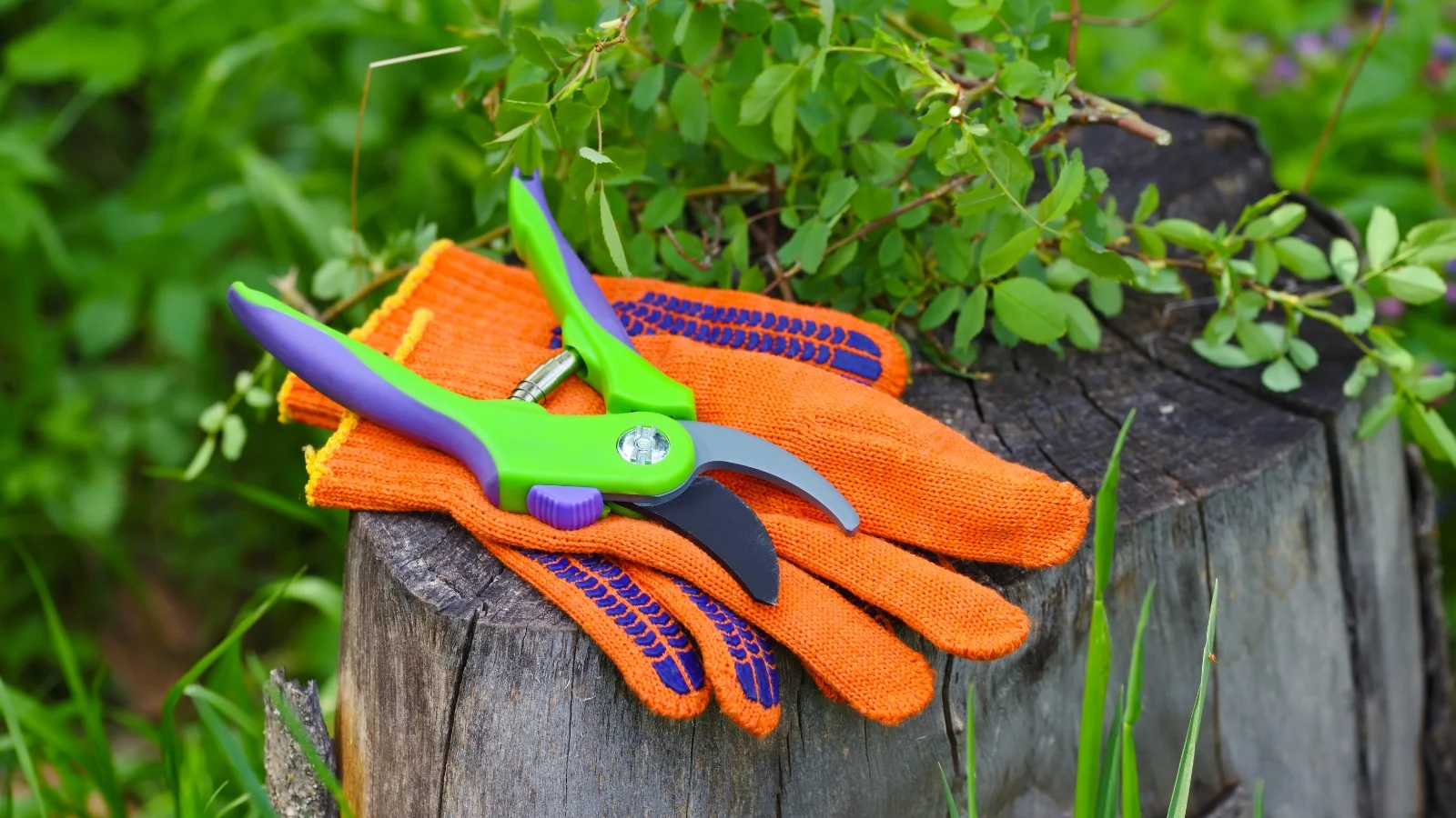 bright orange gloves and green-handled pruning shears resting on a weathered wooden stump.