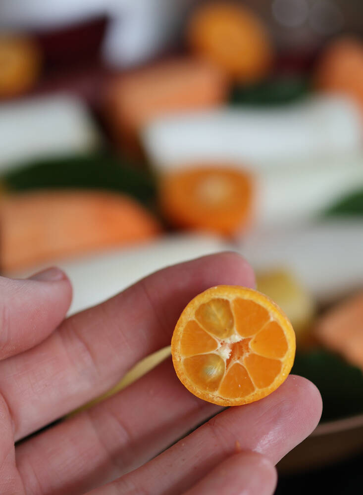 vegetable adobo with