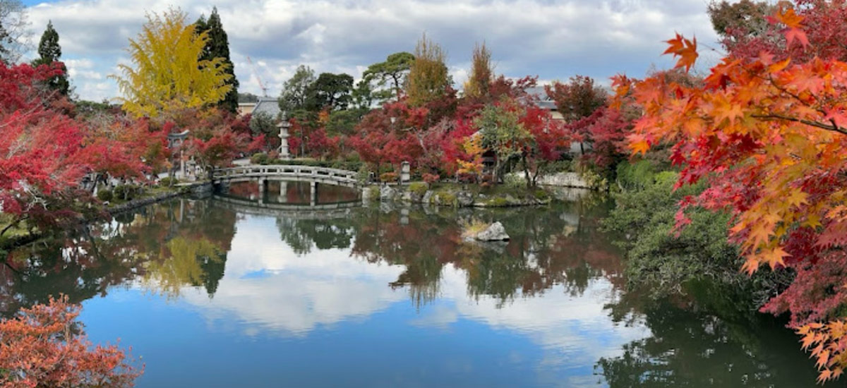 clear pond with reflection of fall foliage