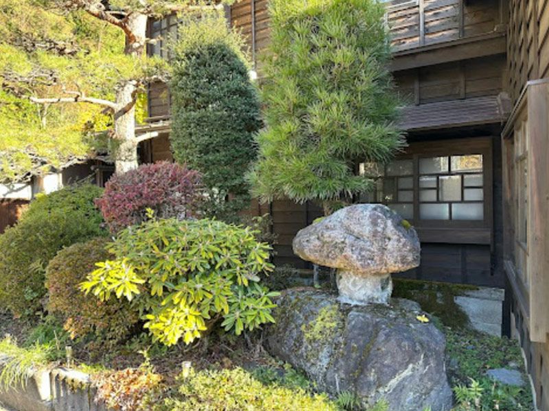 front yard foliage in japanese garden