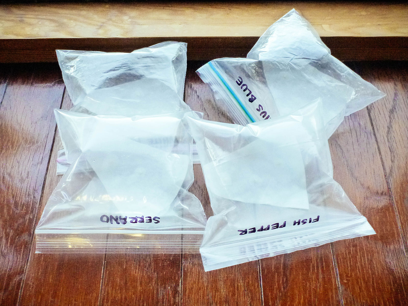 small plastic sandwich bags filled with air, containing damp paper coffee filters inside