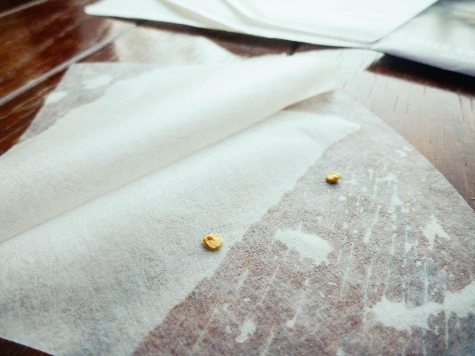 pepper seeds placed on a damp paper coffee filter
