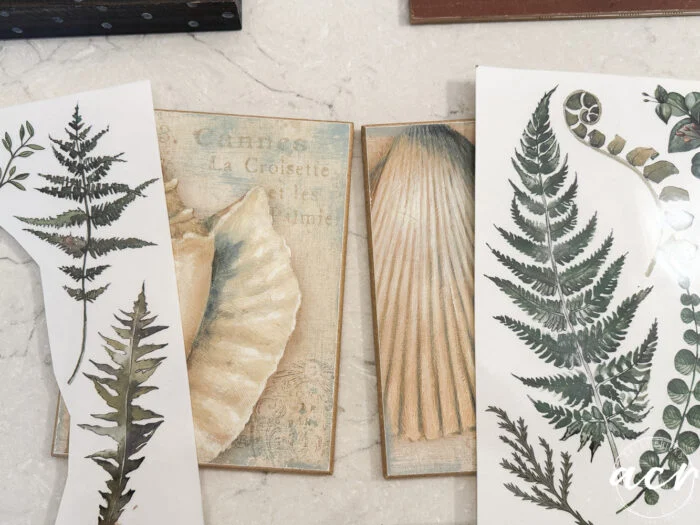 assorted botanical and shell-themed art prints, including ferns and seashell illustrations, arranged on a light-colored surface. this easter edition features the white “acy” watermark in the bottom right corner.