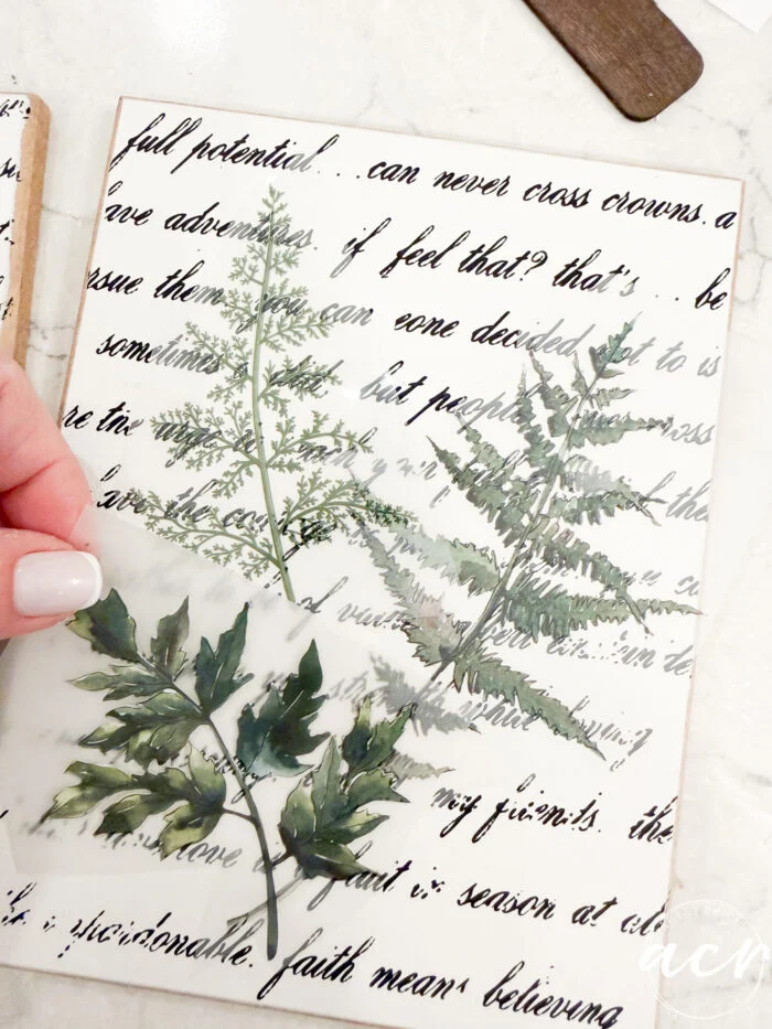 a hand lifts a translucent sheet with painted green leaves, part of the easter edition, over paper adorned with black cursive writing and botanical illustrations, creating a layered effect.
