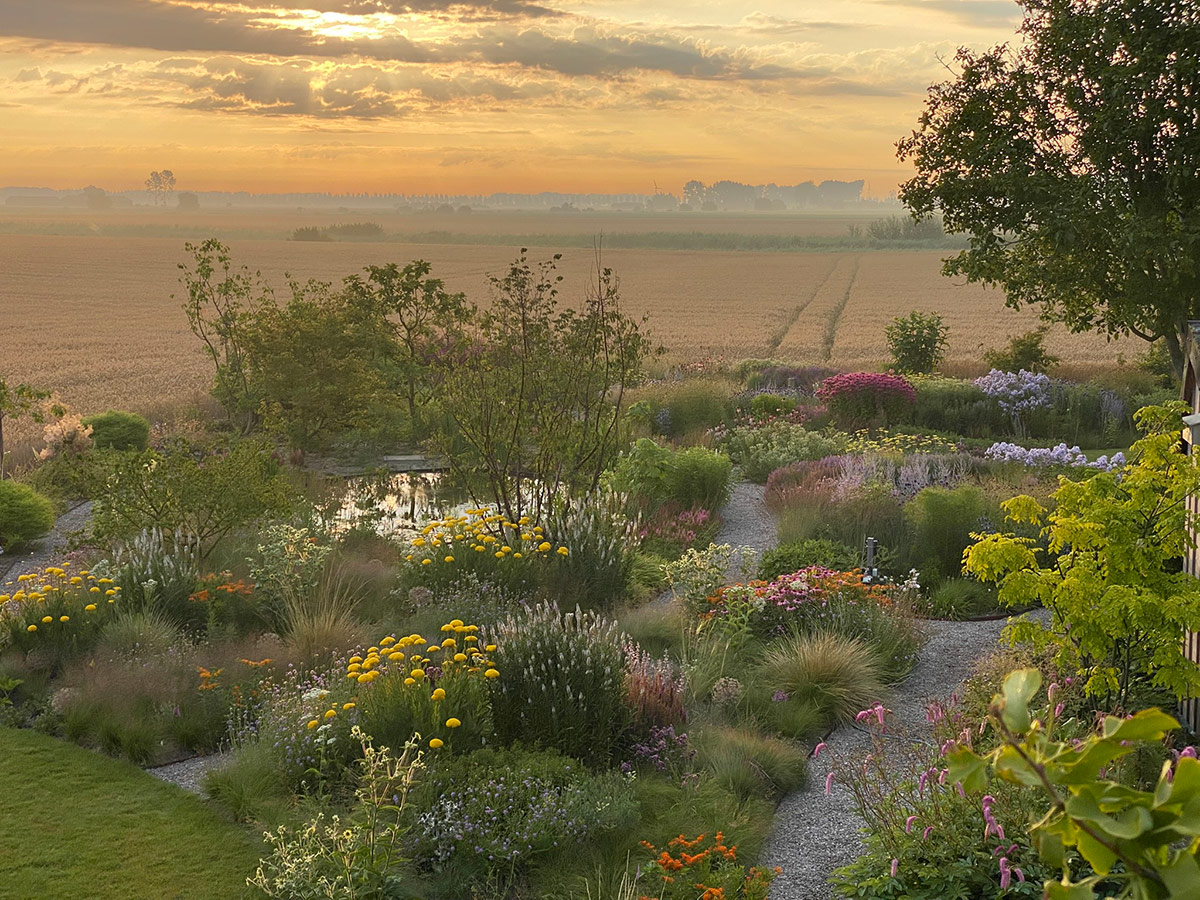 gpod on the road: tom de witte's new home garden in the netherlands 26 garden at golden hour