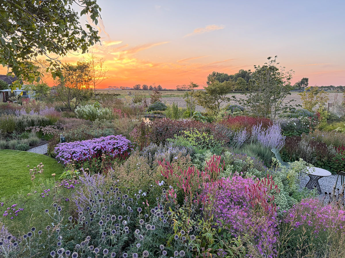 gpod on the road: tom de witte's new home garden in the netherlands 29 colorful garden at sunset
