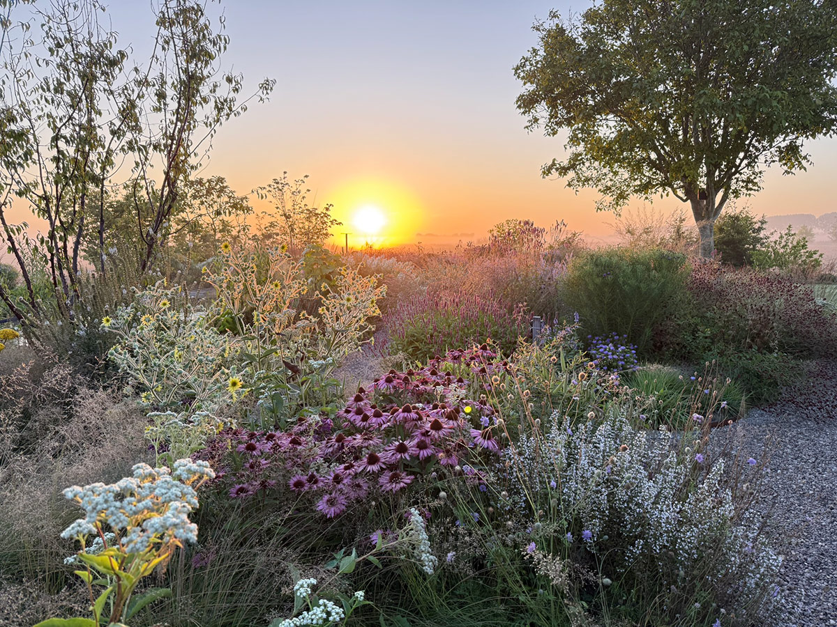 gpod on the road: tom de witte's new home garden in the netherlands 28 garden at sunset