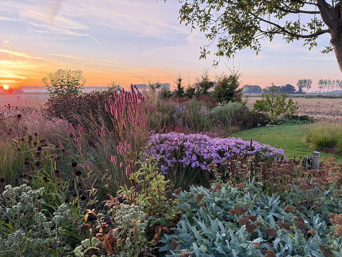 gpod on the road: tom de witte's new home garden in the netherlands 31 garden at sunset