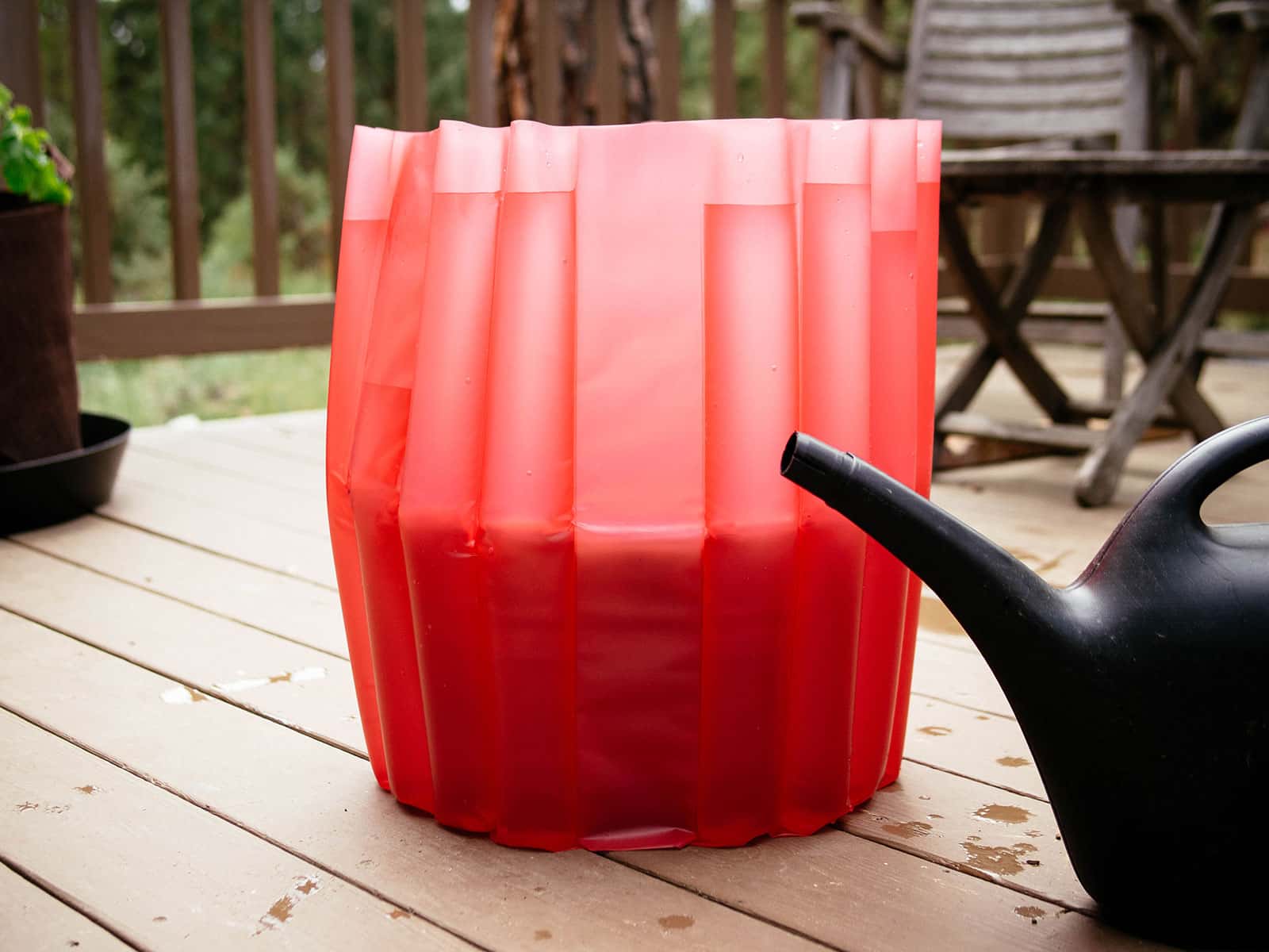 red tomato teepee wrapped around a large tub for support, being filled with water from a watering can