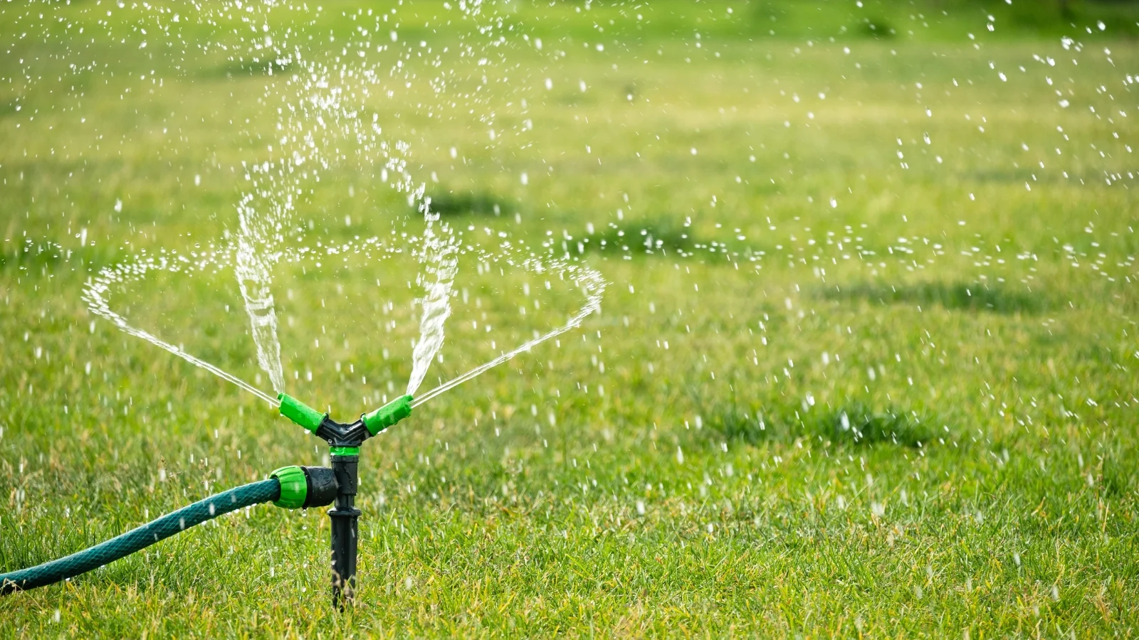green grass glistens under the spray of an automatic sprinkler, with water droplets arching through the air.