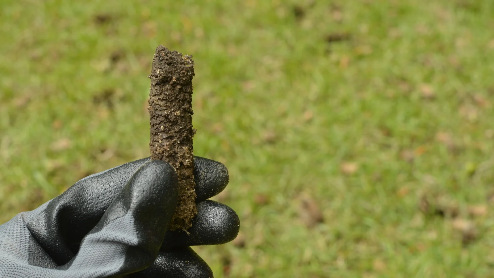 a gloved hand holds up a small cylindrical plug, compact and moist, with a visible indentation, while the background features a grassy green field, contrasting the fresh plug against the natural outdoor setting.