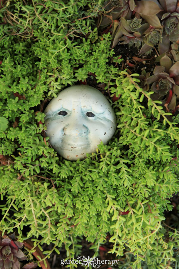 how to multiply succulents through easy home plant propagation 17 sedum succulent ready to be divided