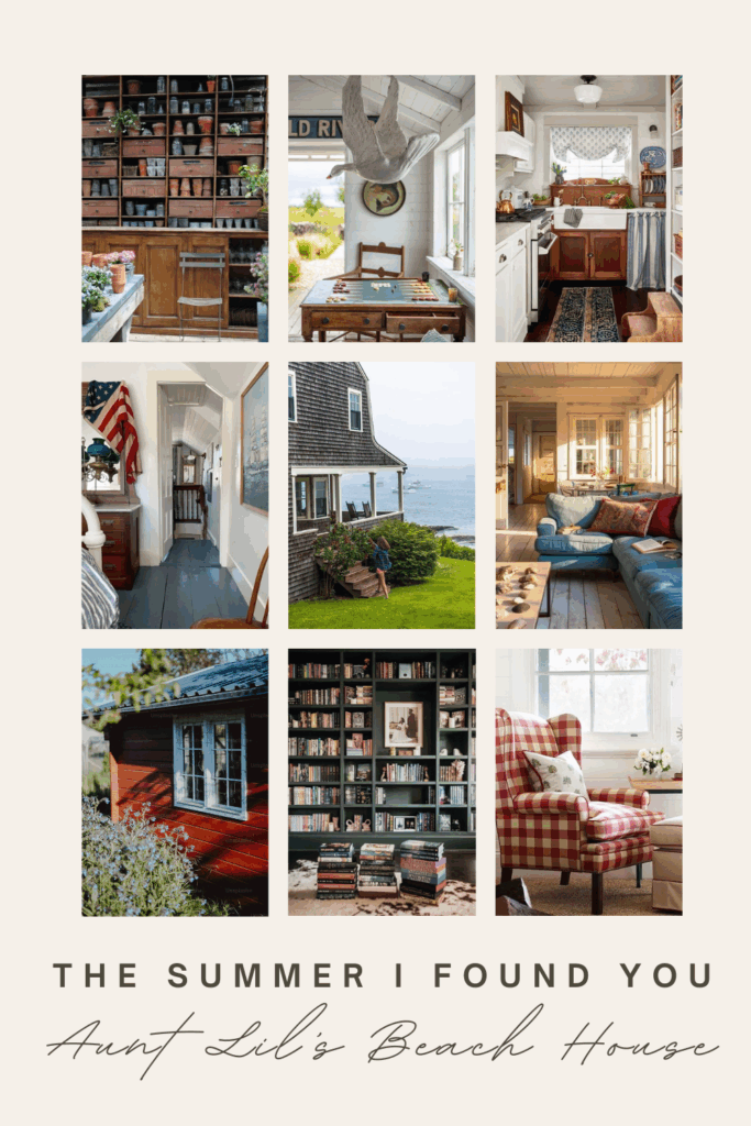 the summer i found you by jennifer o'brien aunt lil's beach house aesthetic