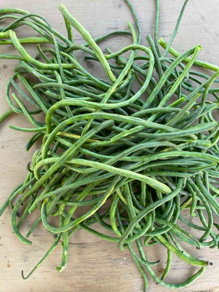 19 best plants to grow in april - vegetales & herbs 3 plants grow april