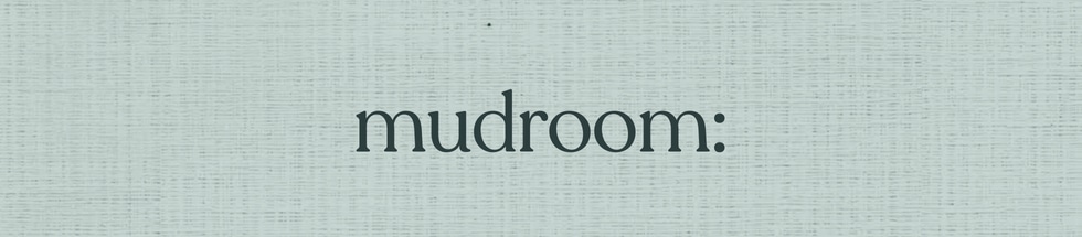 paint colors in our coastal cottage (benjamin moore & sherwin-williams) 9 paint colors our