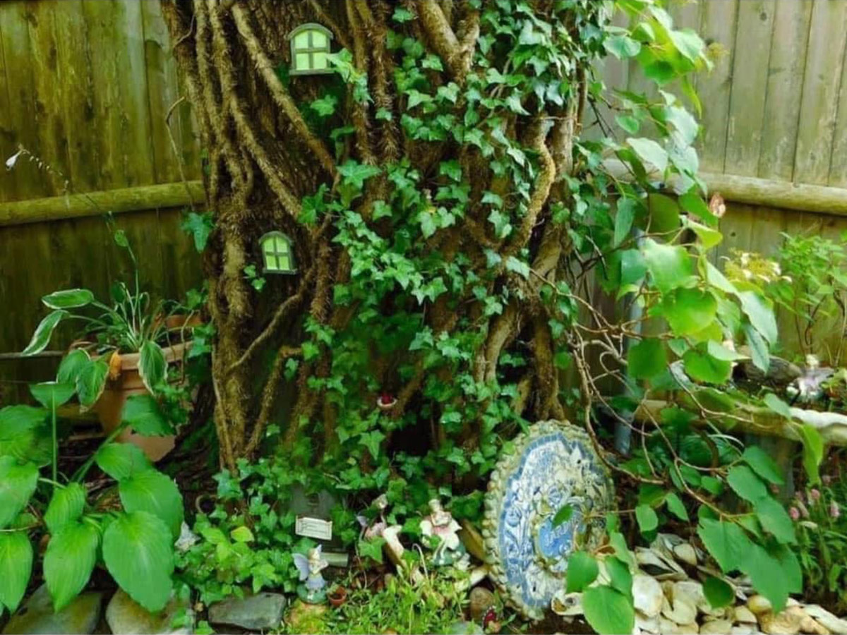old maple tree covered in vines
