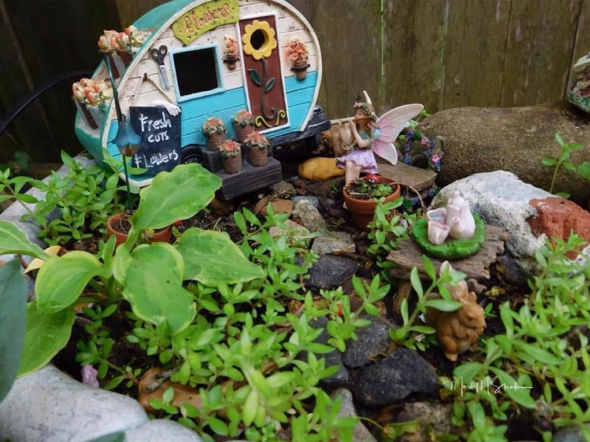 mini fairy garden