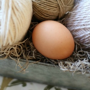 botanical leaf imprint easter eggs