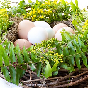 botanical leaf imprint easter eggs