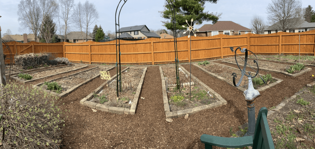 garden fairies have quite a month, so far - carol j. michel 2 garden fairies have