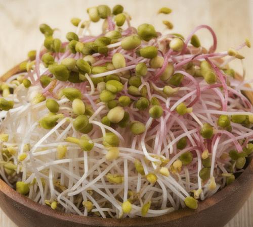 using homegrown sprouts