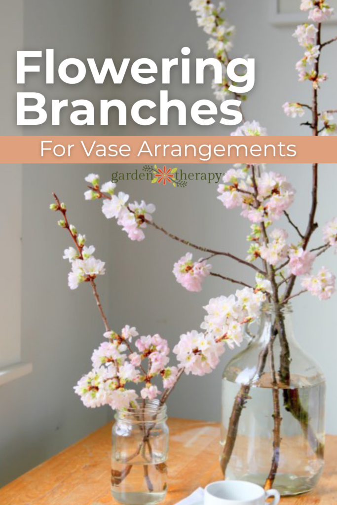 cut your own natural flowering branches for vase arrangements 12 cut your own natural flowering branches for vase arrangements