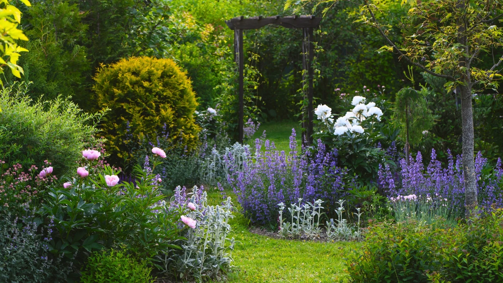 a  shot of a large yard area with several various developing flowers and plants with an archway in the back