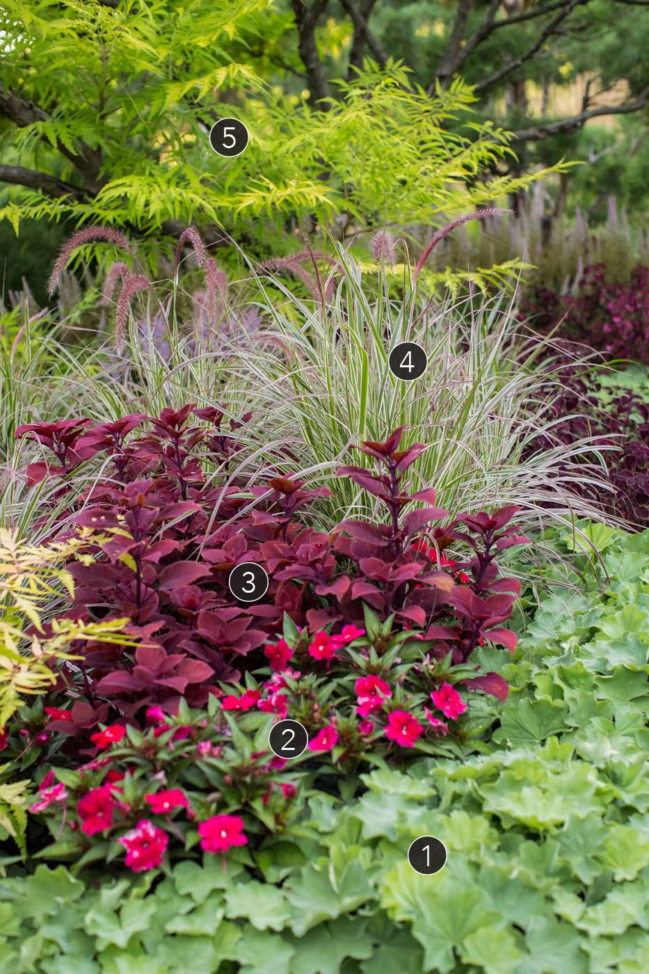 garden bed labeled with numbers photo by tracy walsh