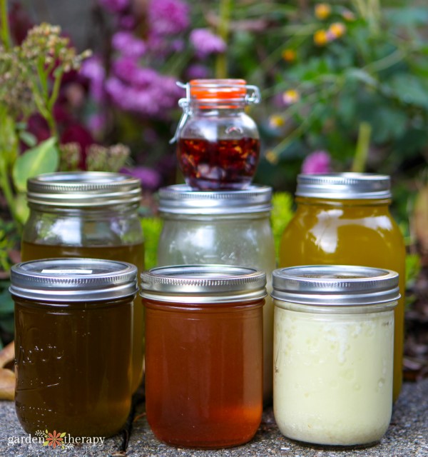 a variety of herbal oils in mason jars