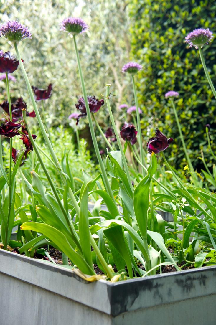 neisha_crosland_13_06_11_11