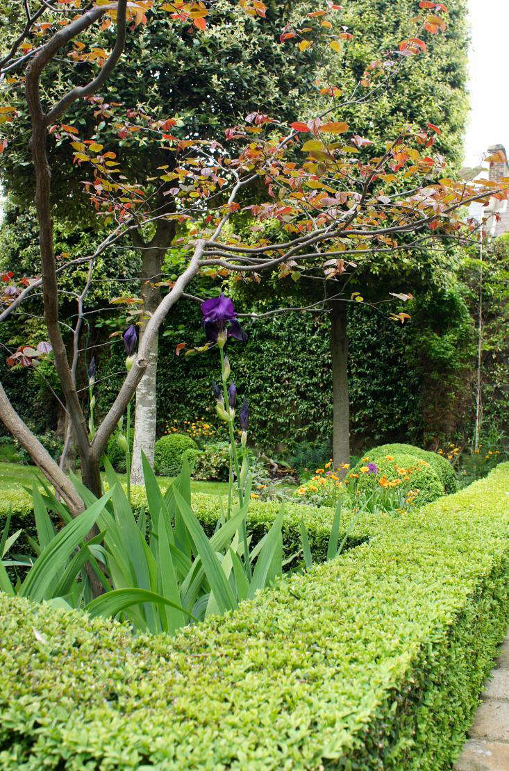 neisha_crosland_13_06_11_06