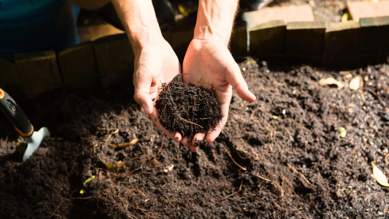 men's hands hold fresh loose black soil over a garden bed., appearing to be prepared for planting lovely blooms