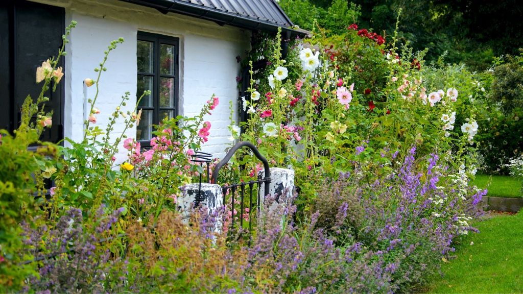 How to Grow a Cottage Garden in the Shade