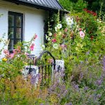 How to Grow a Cottage Garden in the Shade How to Grow a Cottage Garden in the Shade