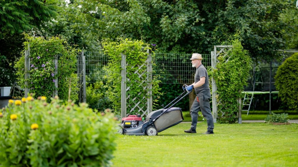 7 Spring Lawn Care Mistakes That Cause Brown Patches All Summer