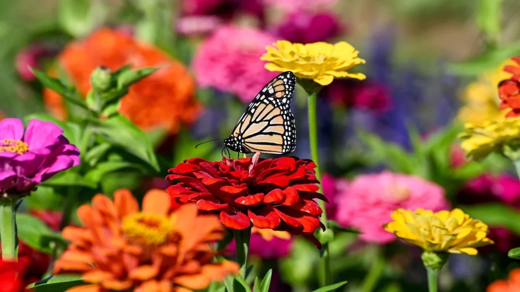7 Best Flowers to Plant for Pollinators in March