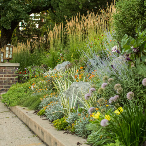 3 Planting Plans from a Mature Garden