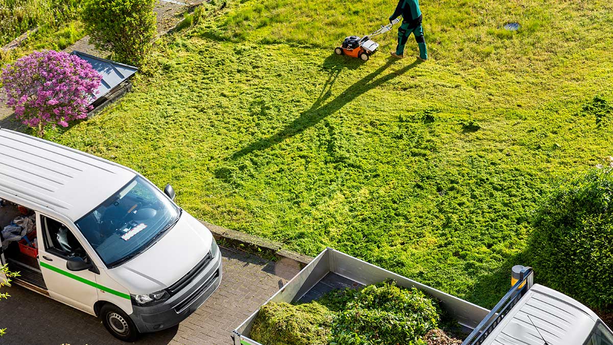 Convenience Comes at the Environment’s Expense