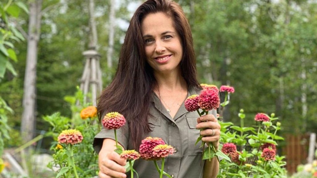 Fast Growing Flowers From Seed: 10 Easy Options